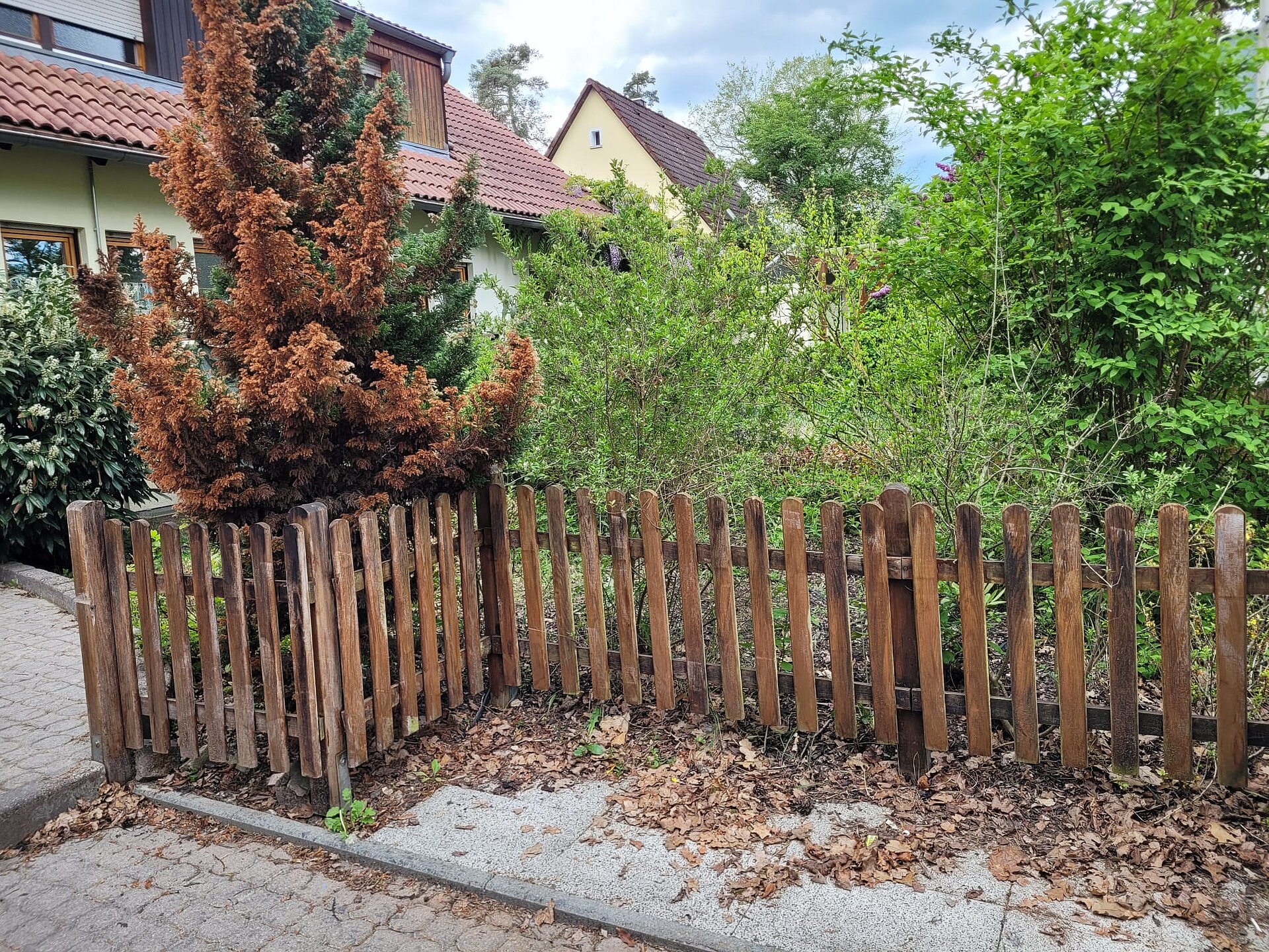 Gartenzaun_1